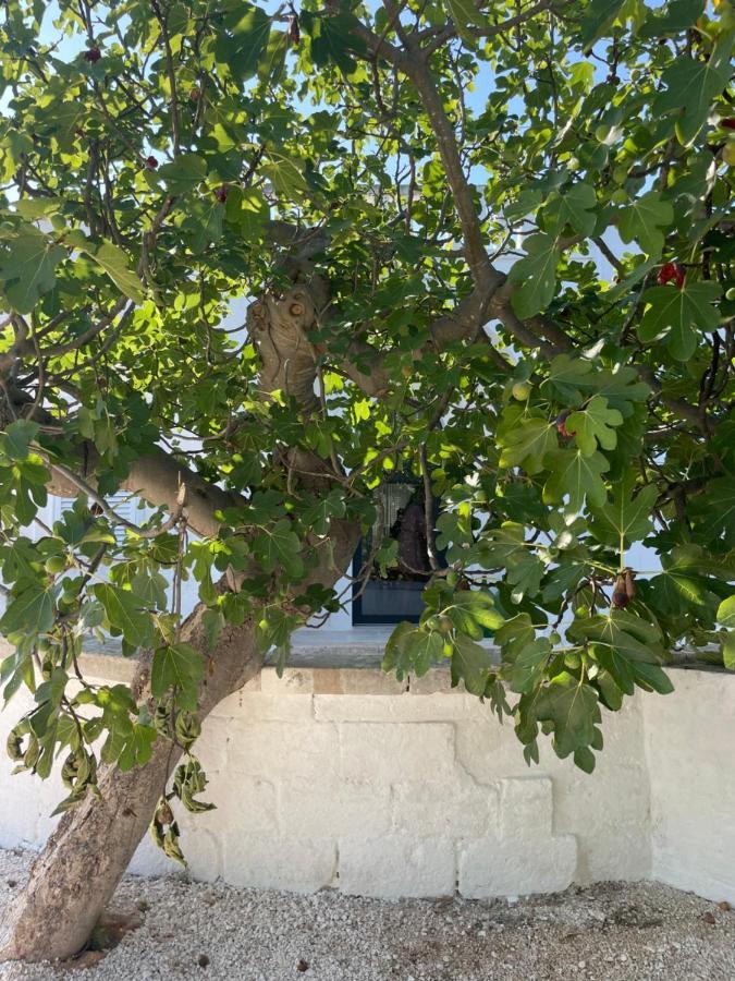 I Tre Coni By Acqua Di Puglia Bed & Breakfast Locorotondo Exterior foto